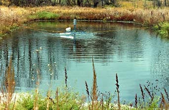 1 month later (200 Series)